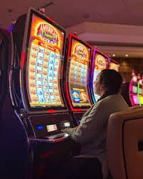 5567.com bet