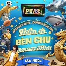 5567.com bet